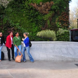 Cultural Program: Caixa Forum