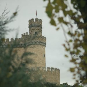 Manzanares Castle Details