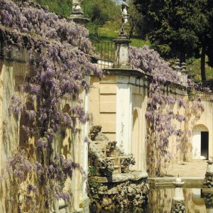 Surprises Nearby Madrid